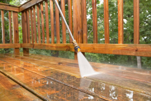 Best Roof Washing  in Cape Charles, VA